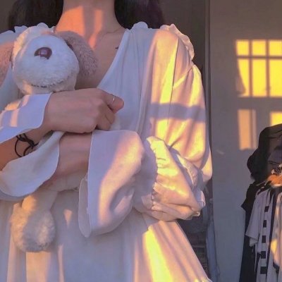 哈兰·科本的庇护所